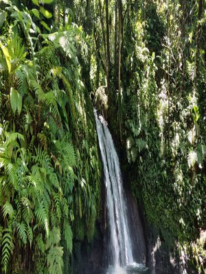 Guadeloupe forêts cascades riviere