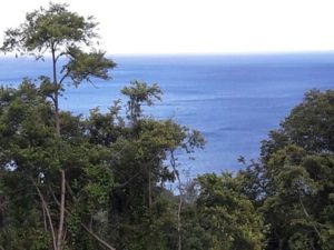 Guadeloupe Deshaies, la vue de la villa Gajah Mada