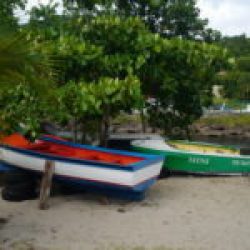 Guadeloupe Deshaies port de pèche
