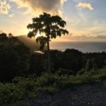 Guadeloupe Deshaies, villa Gajah Mada